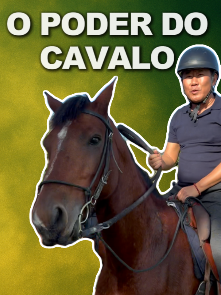 POR QUE ANDAR A CAVALO MUDA SUA VIDA. . . . #medicinaoriental #medicinachinesa #ABENÇOADO #PERDAO #CORAÇÃO #acupuntura #bemestar #LONGEVIDADE #medicina #MÁGOAS #mantra #MANTRA #SAUDE #AMOR #virose #longevidade #chines #AMADO #dr #fobia