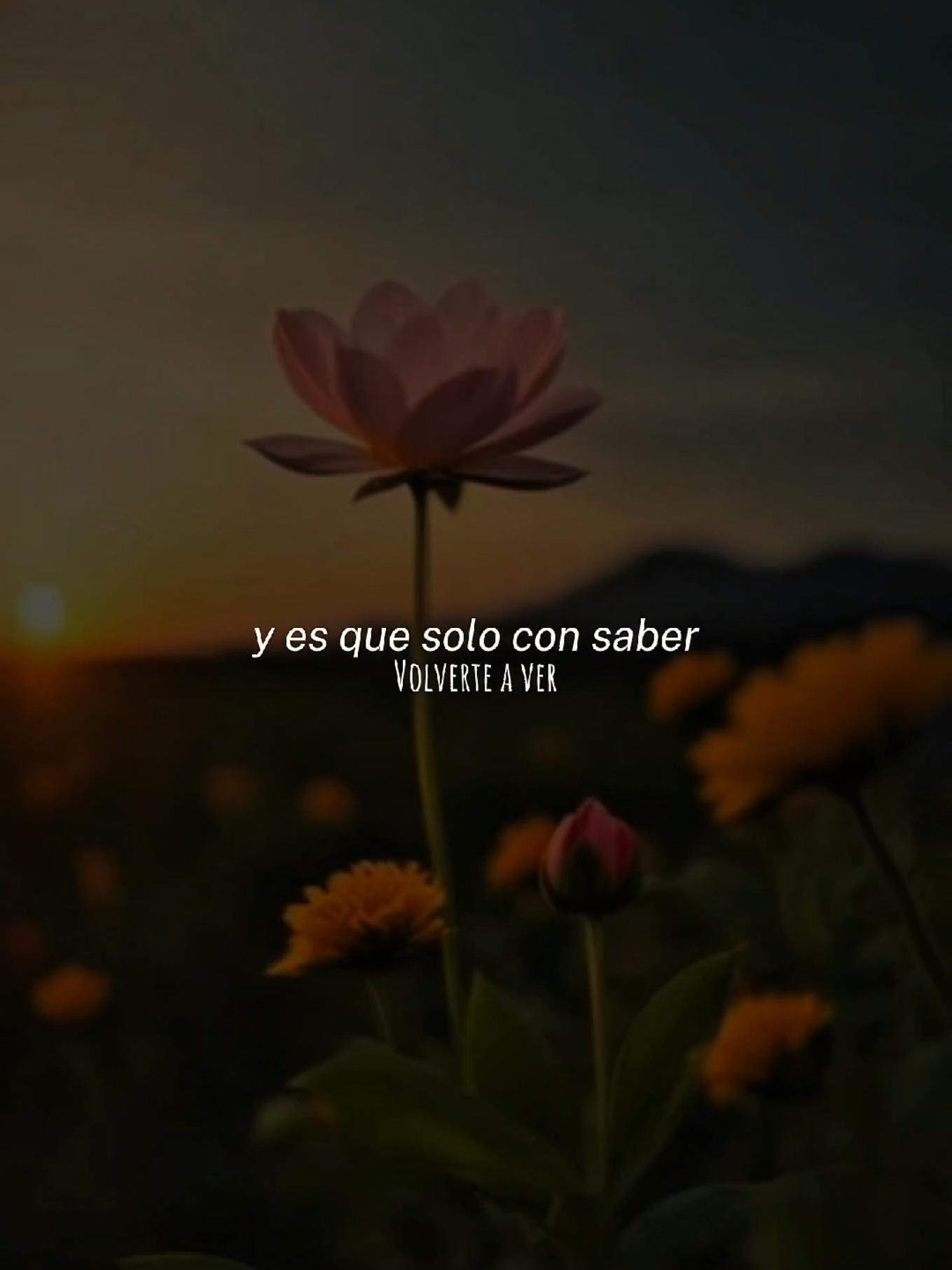 Volverte a ver - Juanes #juanes #volverteaver #musicaparastatus #musica #rolitas 