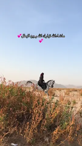 اخيرا رجع البطل بعد قطعه ثلاث اسابيع#خيل_وخياله🐎 #زمرد #خيل_عربي #مالي_خلق_احط_هاشتاقات🧢 #الشعب_الصيني_ماله_حل😂😂 