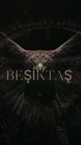 vurgunum sana bir ömür Beşiktaş 🖤🦅  #Beşiktaş #Beşiktaşk #Eagle 
