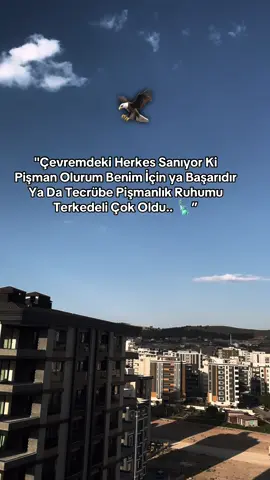 RACON SOZLERİ ALALAIM 🦅ağır sözle alalım 🗽#raconsozleri #lafsokucusözler #kapaksözler #fyp #ağırsözler takip edın arlkadaşar hedefe 6bin 🐦‍🔥🍁🍂🌺🌷💐🌾🌸🌝🌞