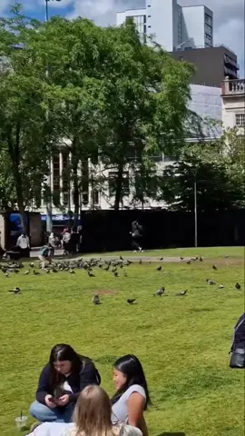 Back in the gardens, seeing how the hive is doing. Still not great! Quick chats on Market Street with people headed everywhere from Gucci to Bradford. #streetinterview #uklife #bradford #gucci #marketstreet