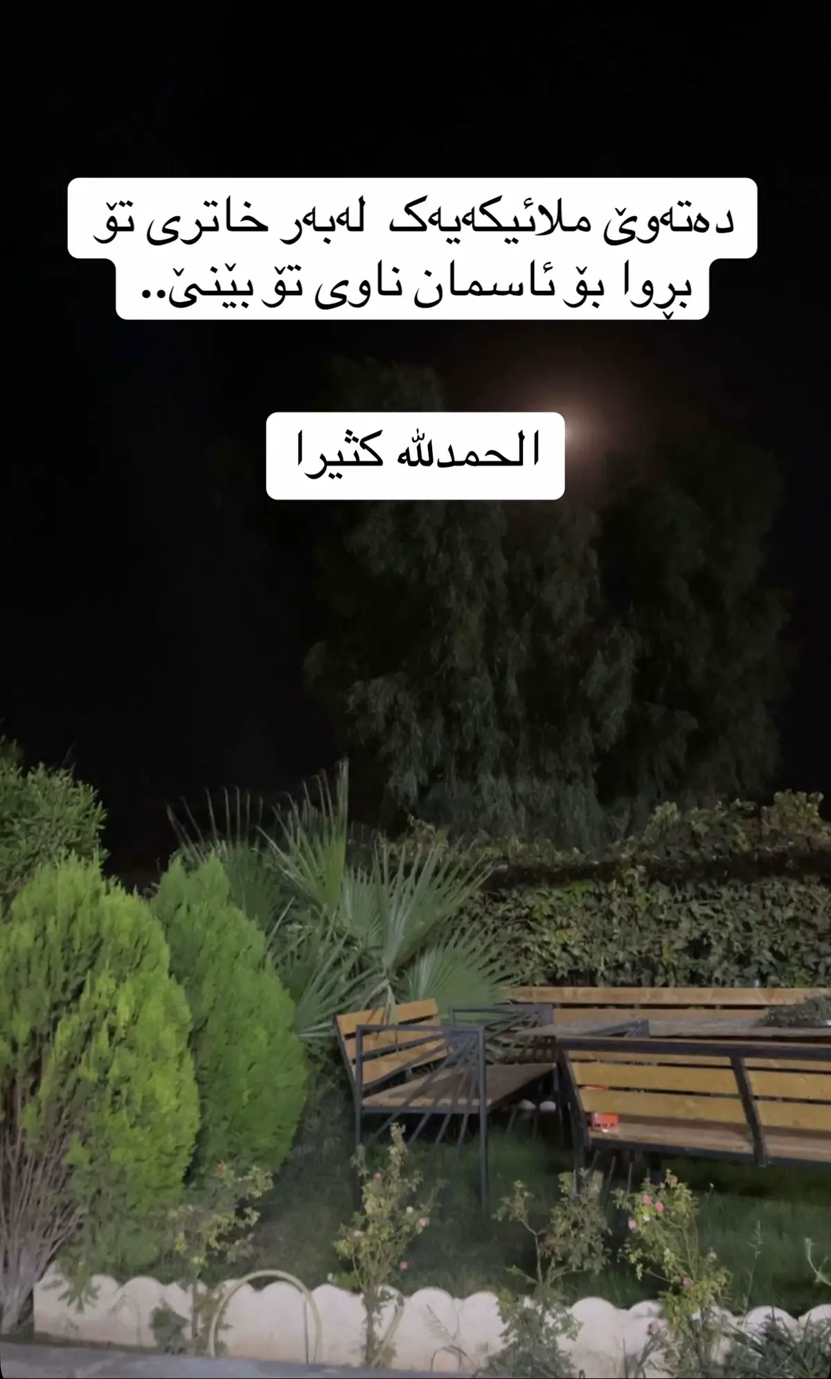 #الحمدالله_علی_کل_حال❤ #الحمدلله_دائماً_وابداً💚🌧️🤲 #hawler_slemani_dhok_karkuk_hallabja #foryou #hawler 