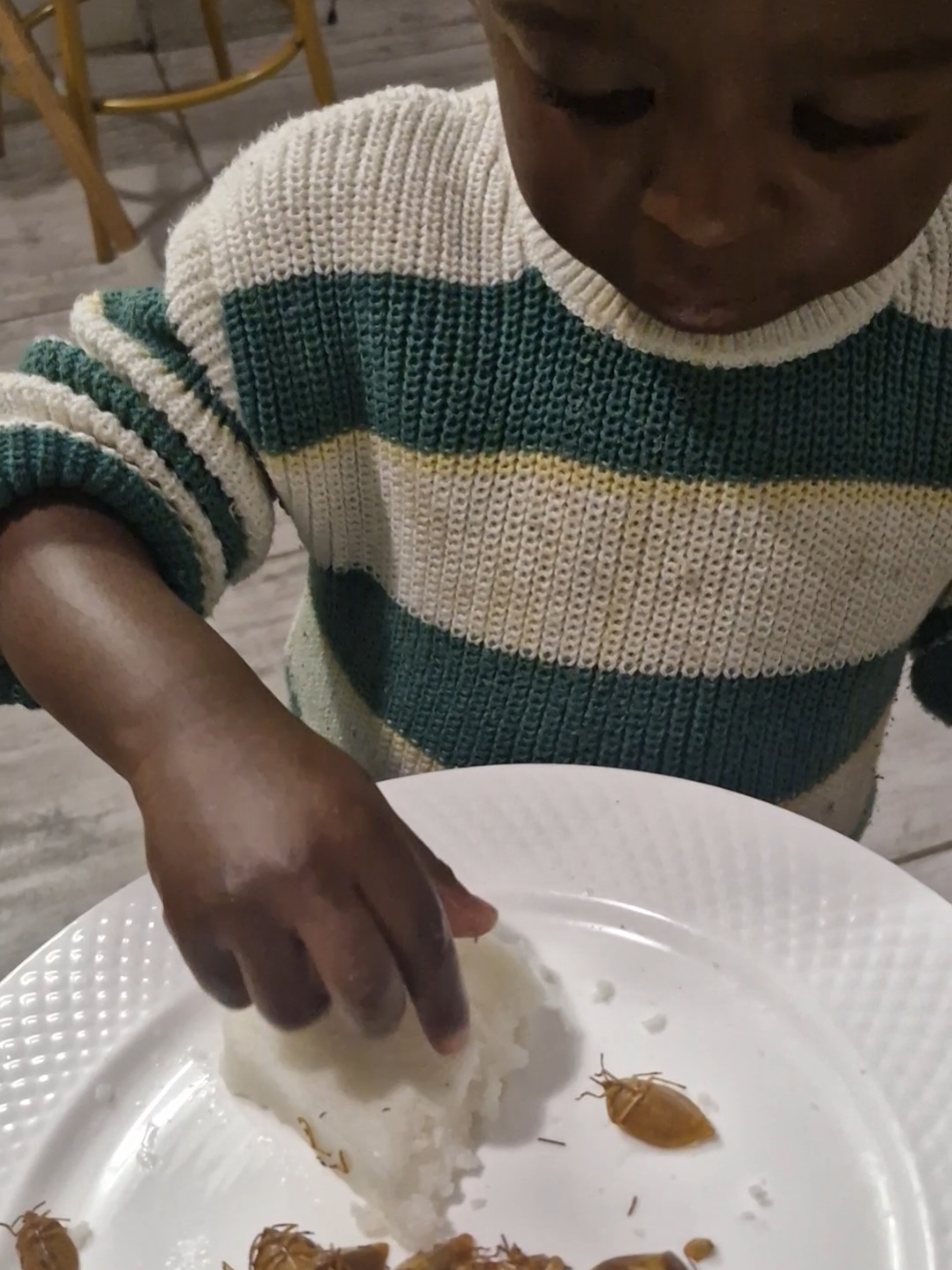 Have you had Harurwa before? Catch them young. Protein ✅️ #stinkbugs #zimtiktok #zimtiktokers🇿🇼🇿🇼🇿🇼 