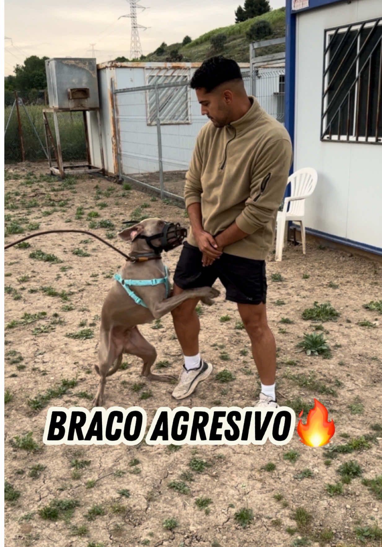 BRACO AGRESIVO 🔥