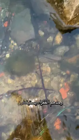 #طبلبة_المنستير_تونس🇹🇳 