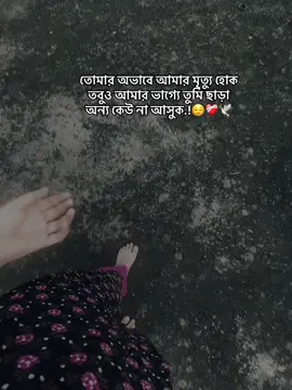তোমার অভাবে আমার মৃত্যু হোক তবুও আমার ভাগ্যে তুমি ছাড়া অন্য কেউ না আসুক.!😌❤️‍🩹🕊️#CapCut #foryou #foryoupage #fypシ #viral 
