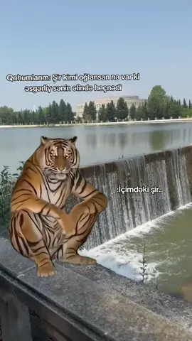 😂 #keşfet #fyp #əsgər #trending  #CapCut 