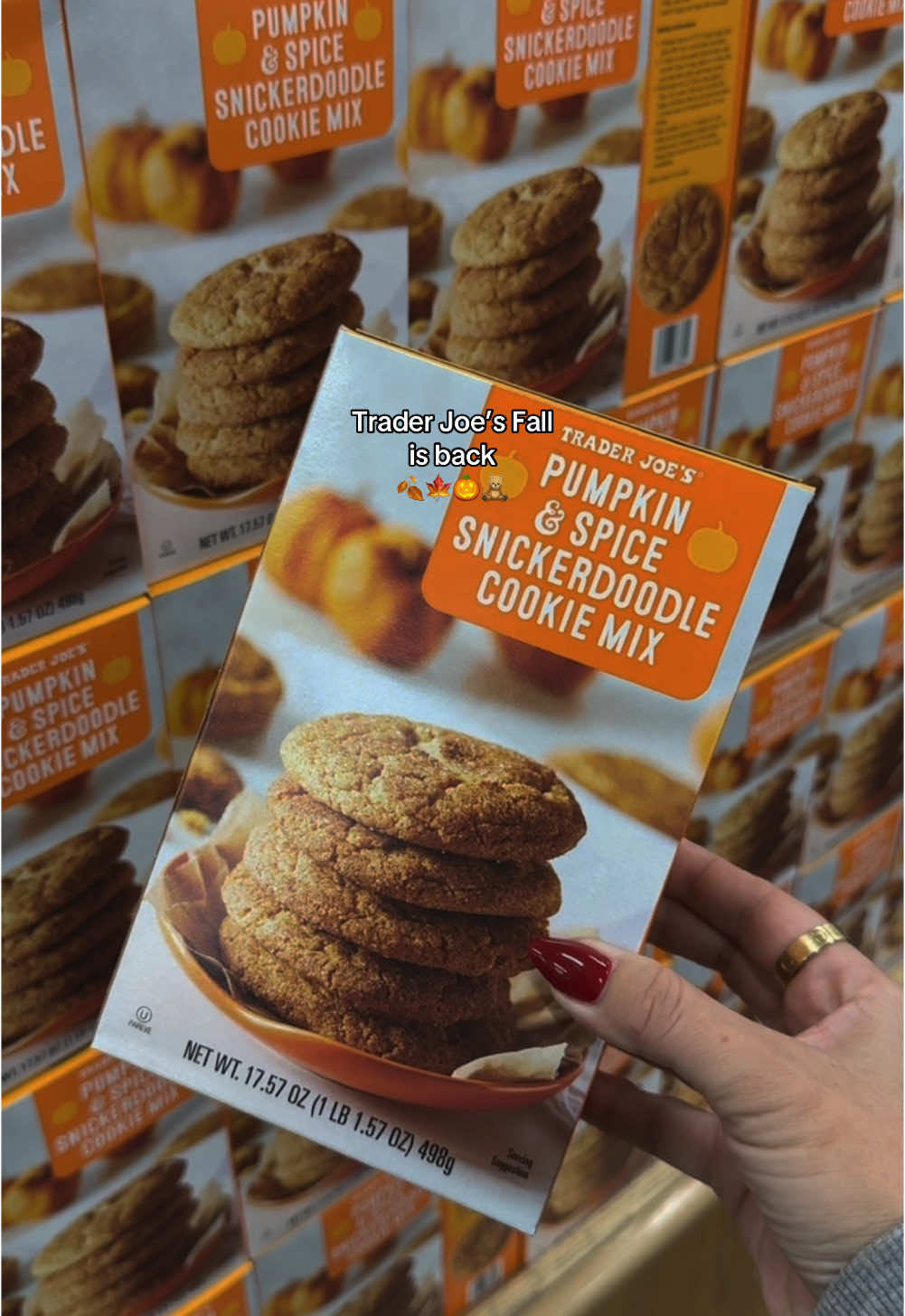 The best time of the year!! What are your favs? #autumn #fallaesthetic #fallvibes #cozyvibes #pinterest #viral #fyp #fall #traderjoes #traderjoesfall @Trader Joe's 