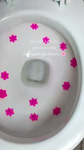 and less cleaning? say less #toiletgelstamps #bathroomcleaning #cleaningtiktok #tiktokmademebuyit #tiktokshopfinds 