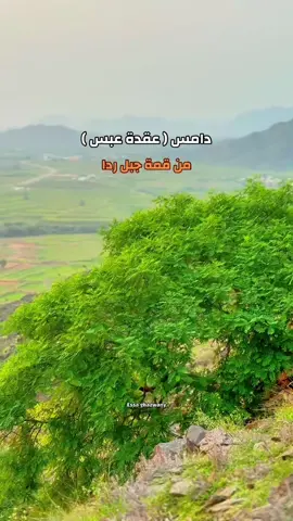 #اكسبلورexplore #explorepage✨ #العيدابي_بلغازي_فيفا_هروب_بني_مالك #جازان #فولو🙏🏻لايك❤️اكسبلور🙏🏻🌹💫 