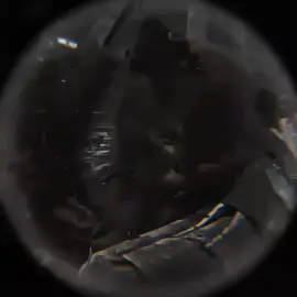 holaa, perdon por no haber subido nada desde hace un mes pero voy a tratar de subir videos mas seguidos este video es un remake del primer video que habia subido. espero que si haya quedado a la altura y que les guste, voy a tratar de practicar mas asi poder hacer mas edits mejores de esta banda tan hermosa. tmb me fije que ya sacaron nuevo tema y voy a tratar de hacer un edit lo antes posible. #termonuclear#remake#perfectomiserable #tiktok 