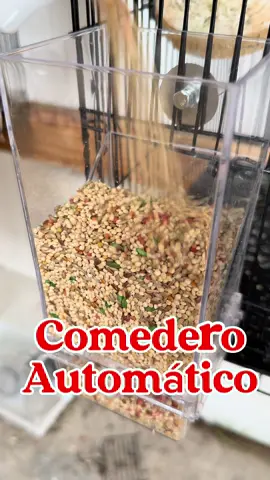 Este comedero automático te ayudará a mantener limpias las jaulas y el espacio de tus periquitos 🦜 Toca el carrito naranja 🛍️🛒. #parati #periquitos #petsupplies #carritonaranja #tiktokshopfinds 