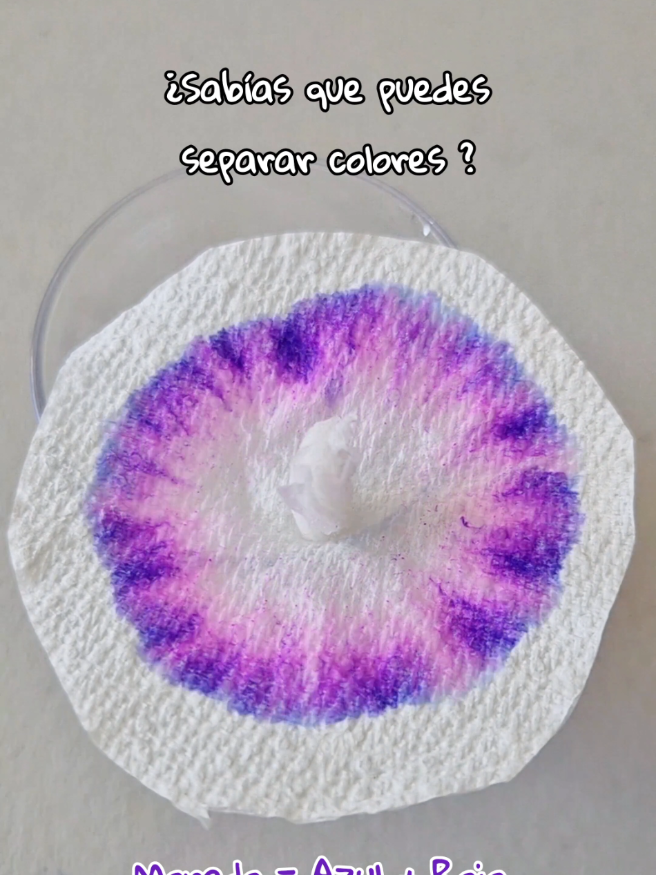 ¿Sabías que puedes separar colores ? Este experimento va a sorprender a tus niños. Necesitas : Plumón de agua verde 💚 Plumón de agua morado 💜  Plumón de agua naranja 🧡 Plumón de agua negro 🖤 Servilleta para cocina absorbente  Un vaso de plástico con agua. Pasos : Recorta círculos de servitoalla y haz un agujero en el centro. Con cada color de plumón  pinta en el centro de cada círculo. Enrolla una servilleta para hacer el soporte. Coloca el soporte dentro del agujero, queda como una sombrilla. En un vaso de plástico coloca un poco de agua. Coloca la sombrilla en el vaso y prepárate para soprenderte Increíble ¿Verdad ?  Lo que utilizamos es una técnica llamada cromatografía en donde al colocar la servilleta de cocina con los plumones en agua , se separan los colores. Importante escoger colores que no sean primarios. Tip : Haz varias pruebas con distintos tonos de colores , ahí verás por ejemplo como un color morado fuerte puede tener más azul que rojo y un morado claro tener más rojo que azul. #craftsforkids  #experimentosfaciles  #cienciaentiktok 