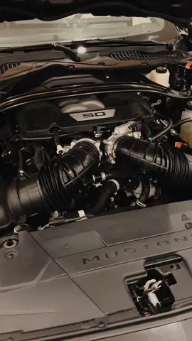 GT 5.0                  #ford #fordmustang #GT #حنطور #gt24 