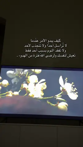 ياحلو الهدوء 