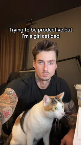 I need a boy cat #maincoon 