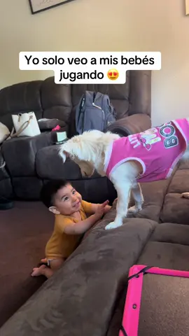 Mis niños hermosos, se divierten mucho juntos 💚🥰 #creciendojuntos #mascotas #perritos #jugando #diversion 