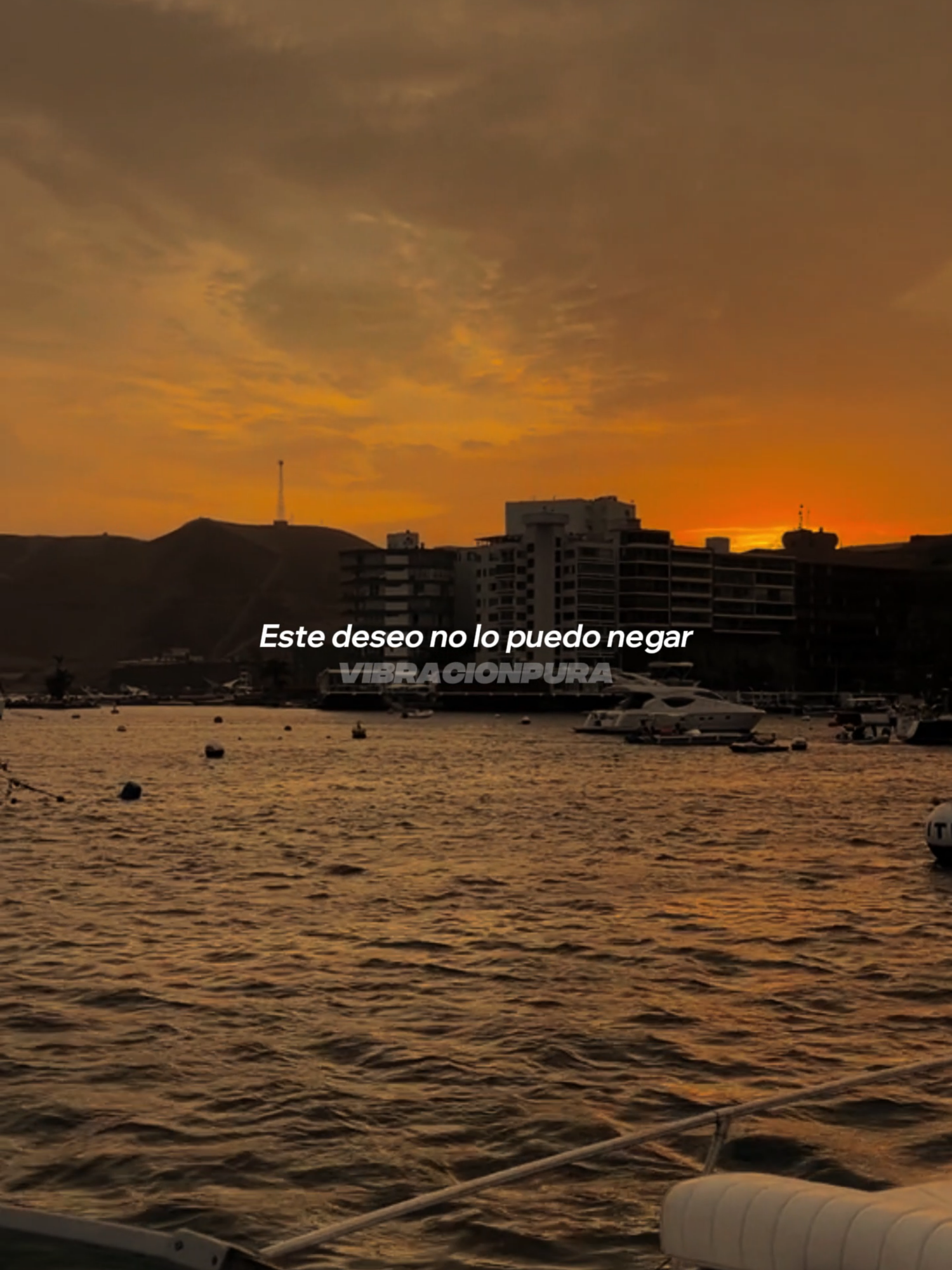 Santa - Rauw A. #musica #letras #fypシ゚ #canciones #song #lyrics #urbano #rauwalejandro