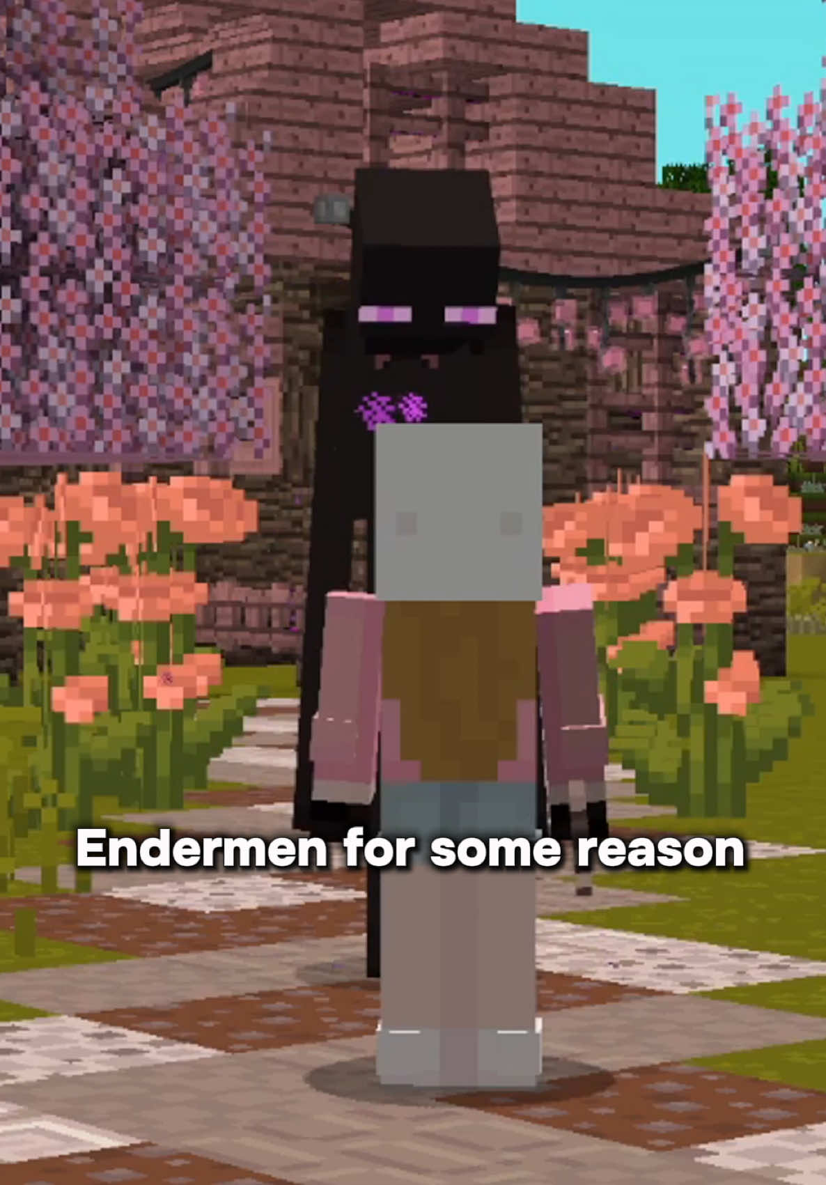 Like just stay still please #fyp #Minecraft #mcrp #minecraftmemes #minecraftskit 