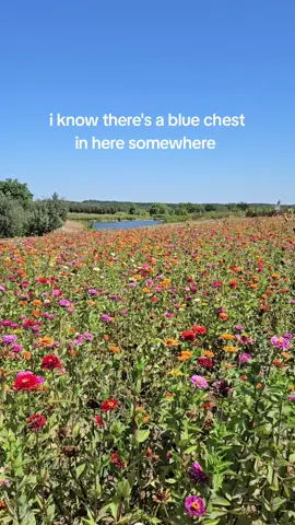 legend has it she's still out there looking for the chest  #fortnite #fortnitehumor #flowerfield #fyp 