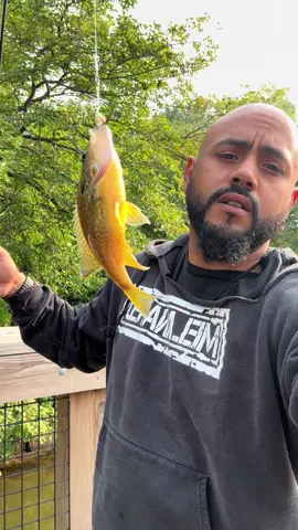 Caught a couple decent little guys 🎣  #peace #fishing 