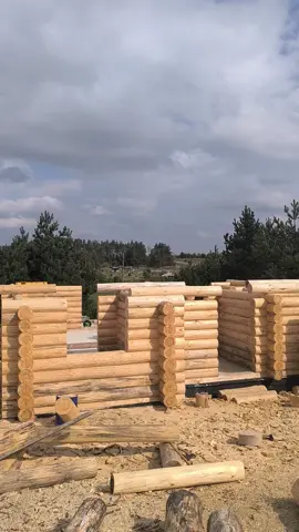 В процессе строительства сруба для дачного дома..10.2х10.6м + терраса 2.5х10.2 м. Ручная рубка 🪵🪓. #logcabin #loghome #loghase #сруббеларусь #баняизбруса #баняизбревнамосква #prosrub #ручнаярубкаизбревна #срубмосква #бревенчатыйсруб #бревенчатыедома #срубыизбревна #срубыизсосны #срубы #сруб #дачныйдом #домиздерева #деревянныйдом #деревянноезодчество #деревянноедомостроение #ручнаярубка #ручнаярубкасрубов  #ручнаярубкасруба #строительство #строительстводомов #стройкаминск #domzdrewna 