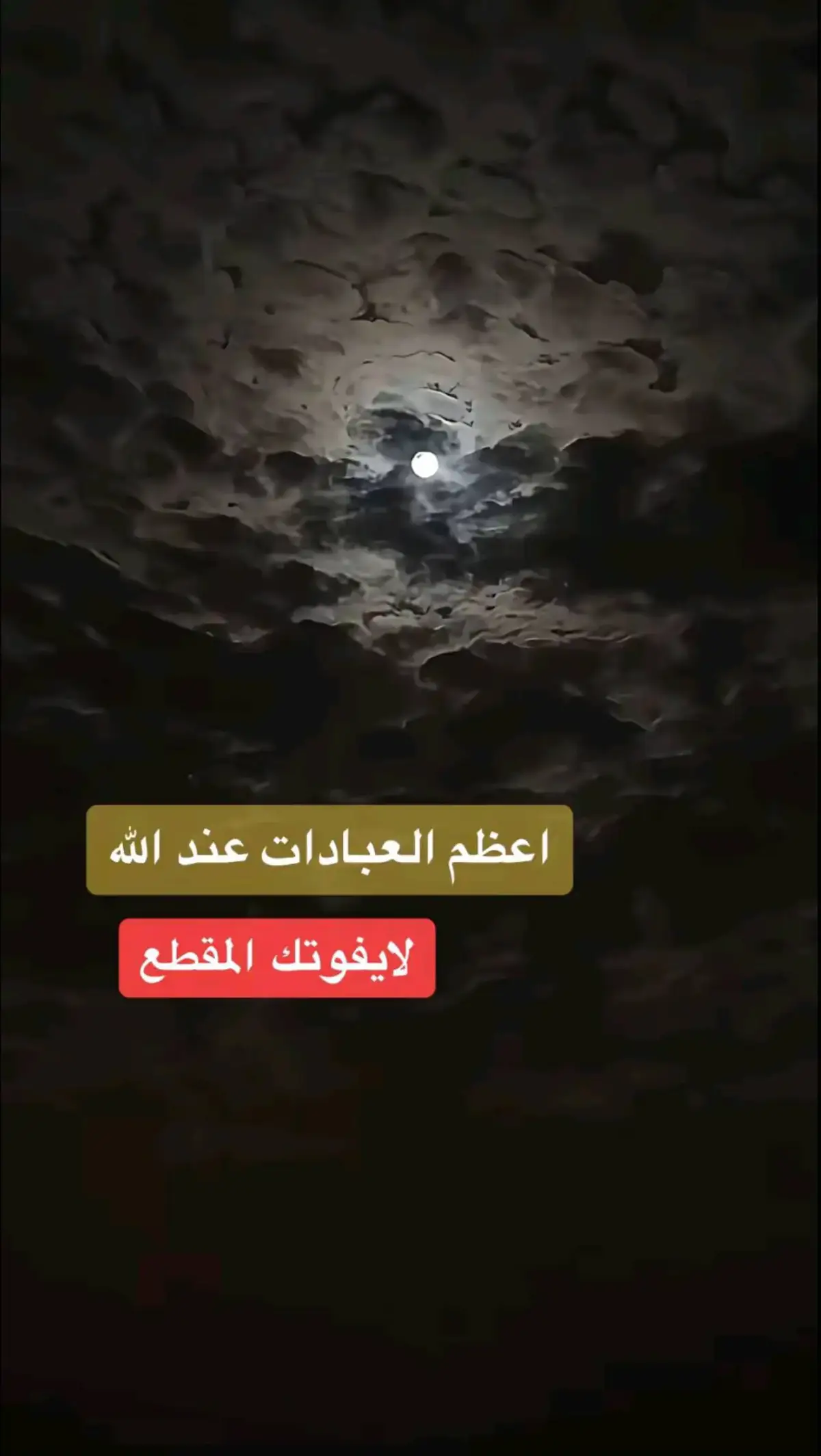 #استغفرالله_العظيم_واتوب_اليه #صلوا_على_رسول_الله #اذكرو_الله #اذكروا_الله_يذكركم #احاديث_نبوية #نشر #لاحول_ولا_قوة_الا_بالله_العلي_العظيم #قران_كريم #ايات_قرآنية #قران #اكسبلور #اكتب_شيء_تؤجر_عليه🌿🕊 #سبحان_الله_وبحمده_سبحان_الله_العظيم 