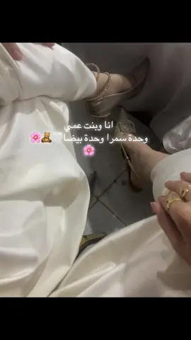 #الشعب_الصيني_ماله_حل😂😂 #foryoupage #🇩🇿🇲🇦🇹🇳 #tik_tok #creatorsearchinsights #عرس #