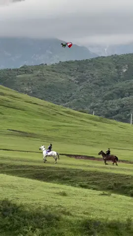 🐻💗#foryoupage #trending 