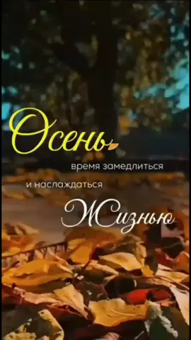 #доброеутро #10сентября #осень #среда #средапришла 