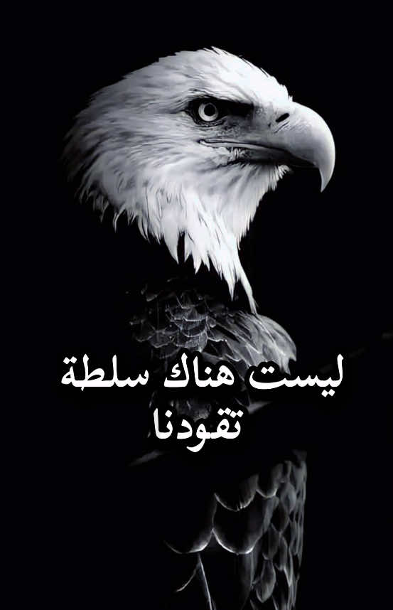 القيادة الحقيقية… ليست بالسلطة، بل بالقدوة…؟ #محتوى_هادف #اقوال_تحفيزية #تنمية_ذاتية #دروس_الحياة 