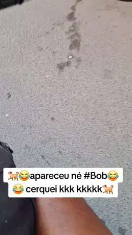 #bob  #viraltiktok  #viaralvideo❤❤❤  #kkkkkkkkkkkkkkk 