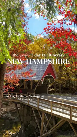 never met a fall I didn’t like 🍂🌾🧸☕️🍄‍🟫 #newhampshire #newenglandfall #newengland #fall 