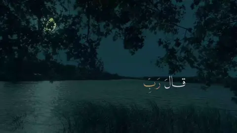 ﴿قَالَ رَبِّ إِنِّی ظَلَمۡتُ نَفۡسِی فَٱغۡفِرۡ لِی فَغَفَرَ لَهُۥۤۚ إِنَّهُۥ هُوَ ٱلۡغَفُورُ ٱلرَّحِیمُ﴾ [القصص ١٦]  القارئ غيث سمرين  #سوره_القصص #قران_كريم_ارح_سمعك_وقلبك♡ #قران_كريم_بصوت_جميل #ايات_قرانيه_تريح_القلب #quranvideo 