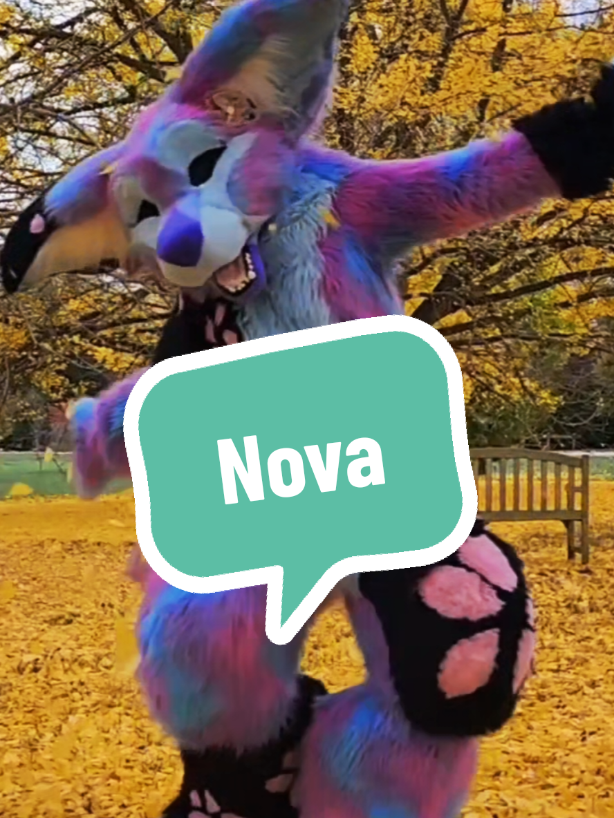 How much has your suit changed over the years?  #makethatchange #furry #fursuit #fursuitmaker #manokit 