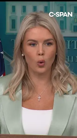 White House Press Secretary Karoline Leavitt on Tuesday continued to deny the authenticity of a letter allegedly written by President Trump to disgraced financier and convicted sex offender Jeffrey Epstein in 2003.   