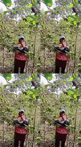 🥺🙈#cafe #viraltiktok #paratiiiiiiiiiiiiiiiiiiiiiiiiiiiiiii 