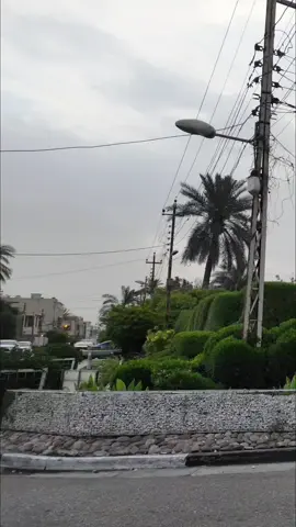 Baghdad, Al-Jihad District (Doctors) | Iraq 2025 بغداد، حي الجهاد (الأطباء) | العراق ٢٠٢٥ #حي_جهاد #بغداد #العراق  #baghdad #lraq 