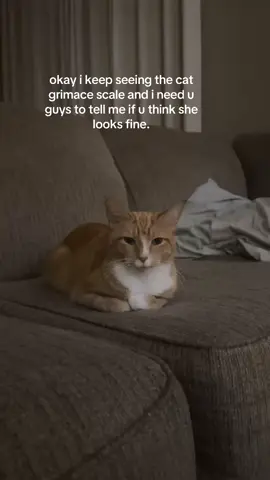 she’s my perfect angel and i can’t fathom her in pain😔😔😔😔