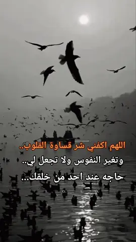 #ادعيه_تريح_القلب #يارب❤️ 