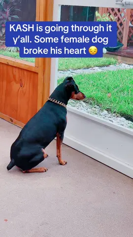 Poor KASH 🥴
