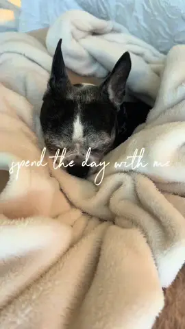 yesterday’s vlog!  #diml #collegestudent #fall #Vlog