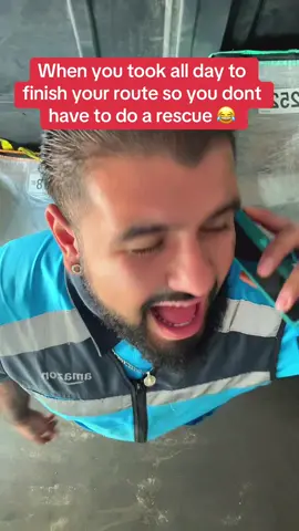 #foryoupage #deliverydriver #amazon #viral #fypシ 