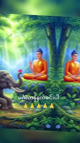 #မင်္ဂလာနံနက်ခင်းပါ #🙏🙏🙏🙏🙏 #ကိုယ်စိတ်နှစ်ဖြာရွှန်လန်းကြပါစေ #ပြန်လည်မျှဝေခွင့်ပြုပါသည် 