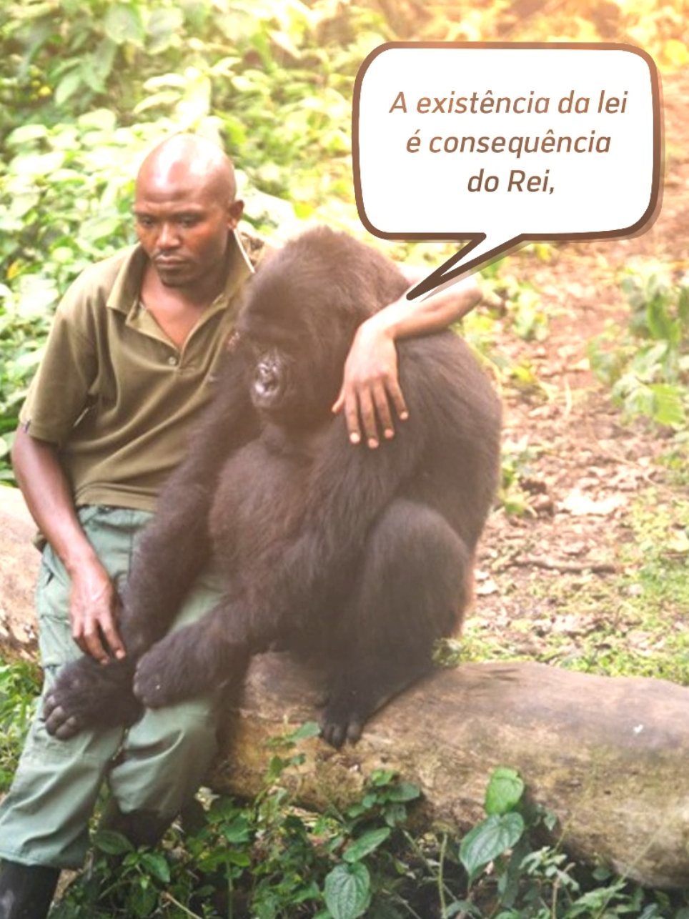 Vi, em certos comentários, algumas pessoas ainda confusas com esse argumento de Dostoiévski. A fonte ainda é a mesma: Os Irmãos Karamázov. Espero que este vídeo tenha esclarecido essa questão. #mavdoolavo #cristianismo #jesus #pensamentos #religiao 