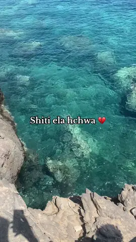 #شعب_الصيني_ماله_حل😂😂 #fyp 