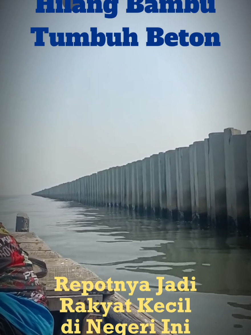 Sudahlah, nelayan kecil jangan pernah berharap bisa hidup enak...😭😭😭 #pagar #pagarbeton #pagarlaut #nelayan #nelayankecil #nelayanindonesia #nelayanindonesia #nelayanjuwanapati #nelayanlautdalam #nelayanmuda #nelayanpuger #nelayantradisional 