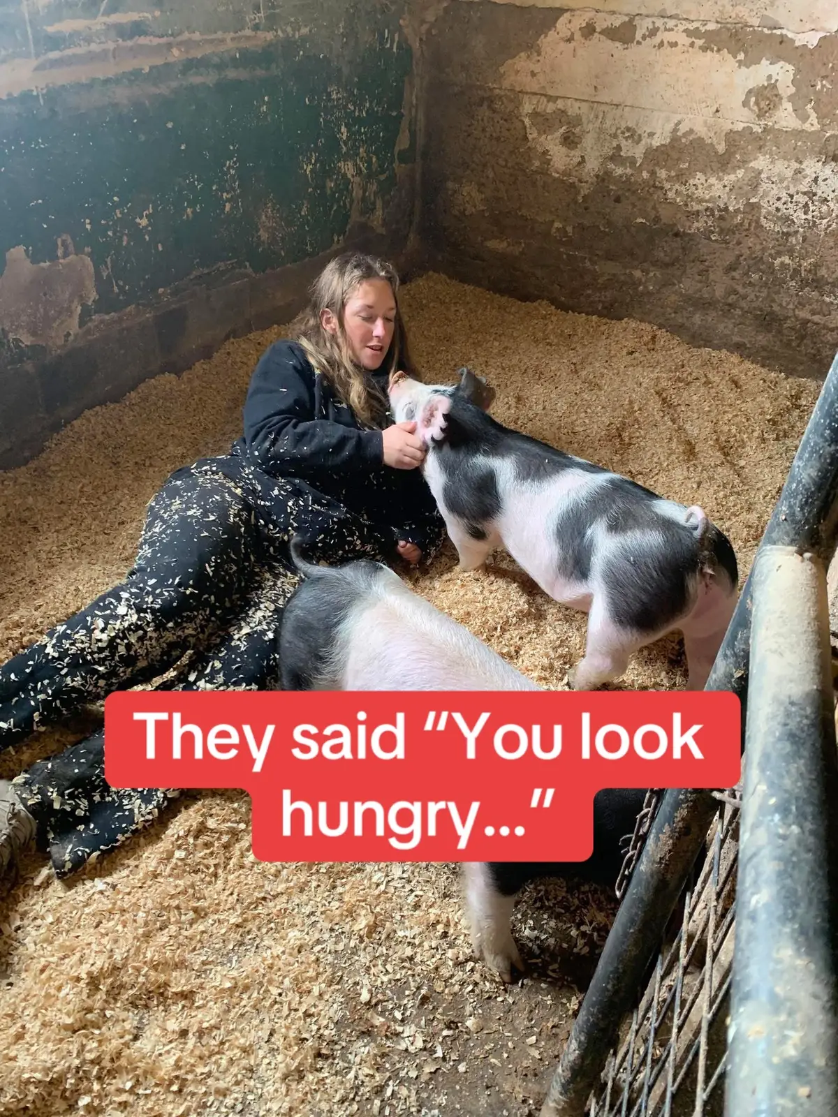 @georgia #showpigs #stockshow #marylandstatefair #champion #ate 