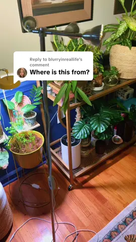 Replying to @blurryinreallife I ordered another one but I’m keeping over 20 plants covered just with this one at one time so it’s doing really good 